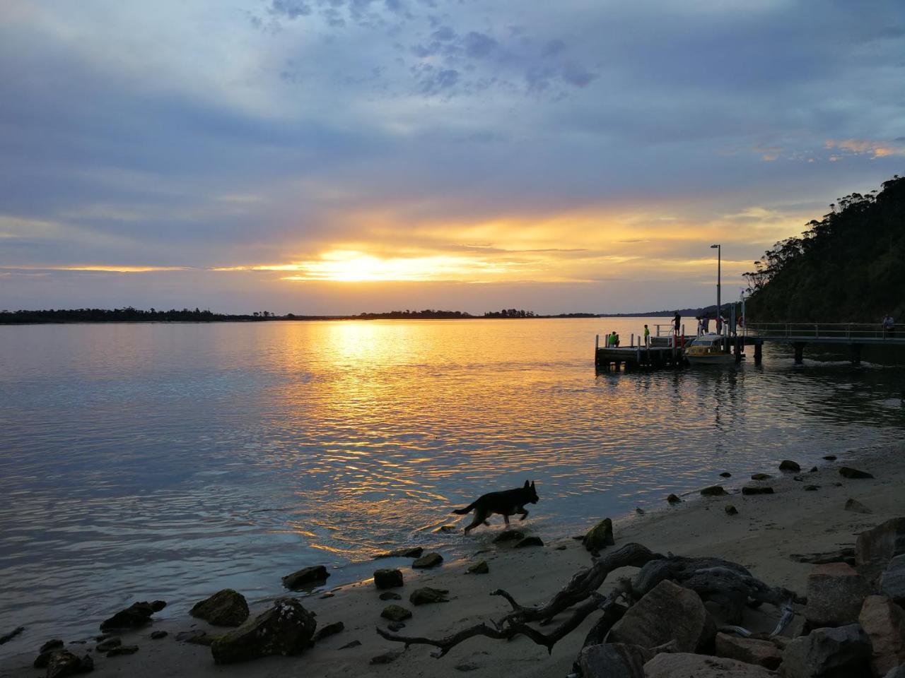 Kalimna Woods Cottages Lakes Entrance Dış mekan fotoğraf