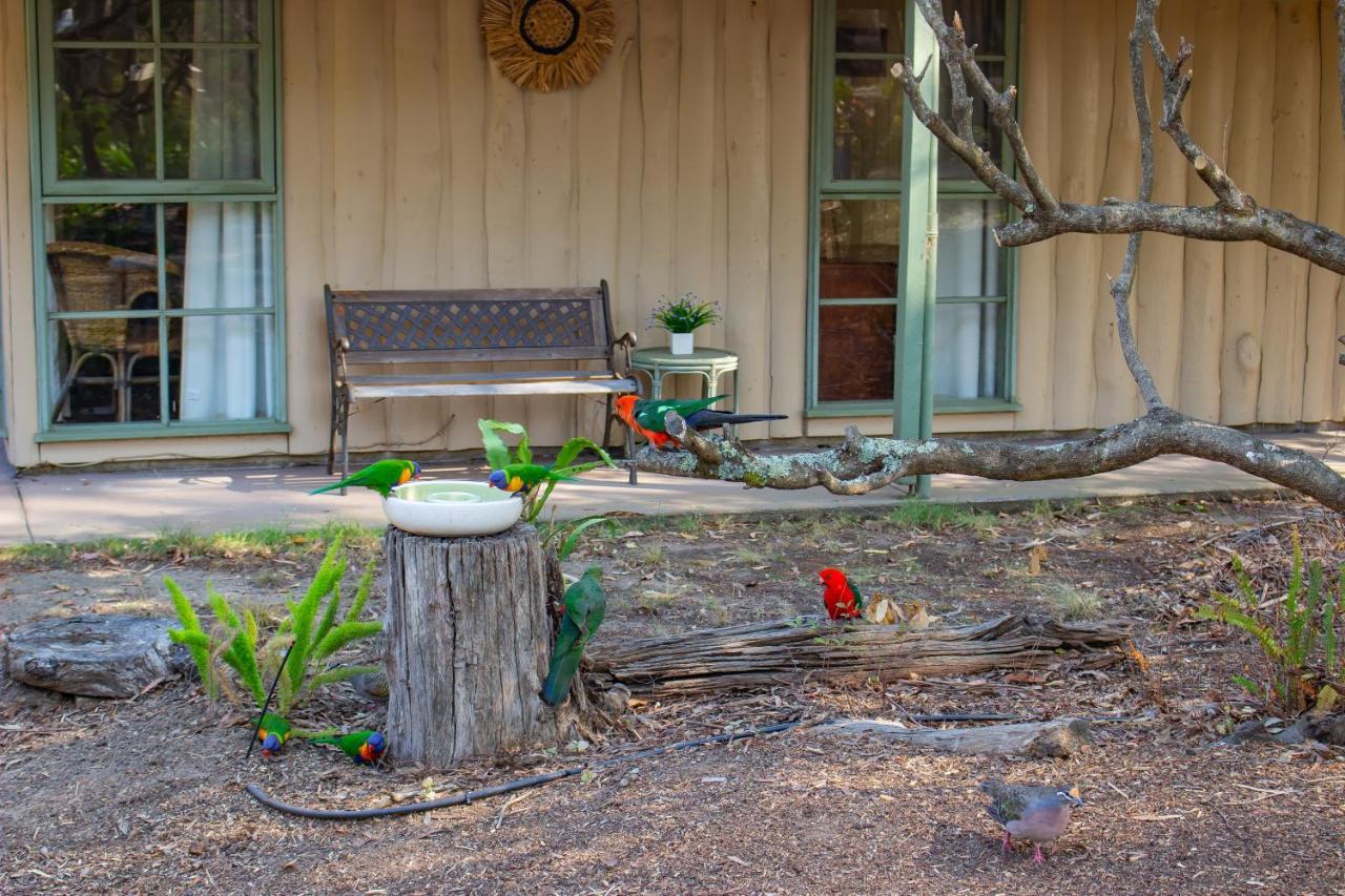 Kalimna Woods Cottages Lakes Entrance Dış mekan fotoğraf
